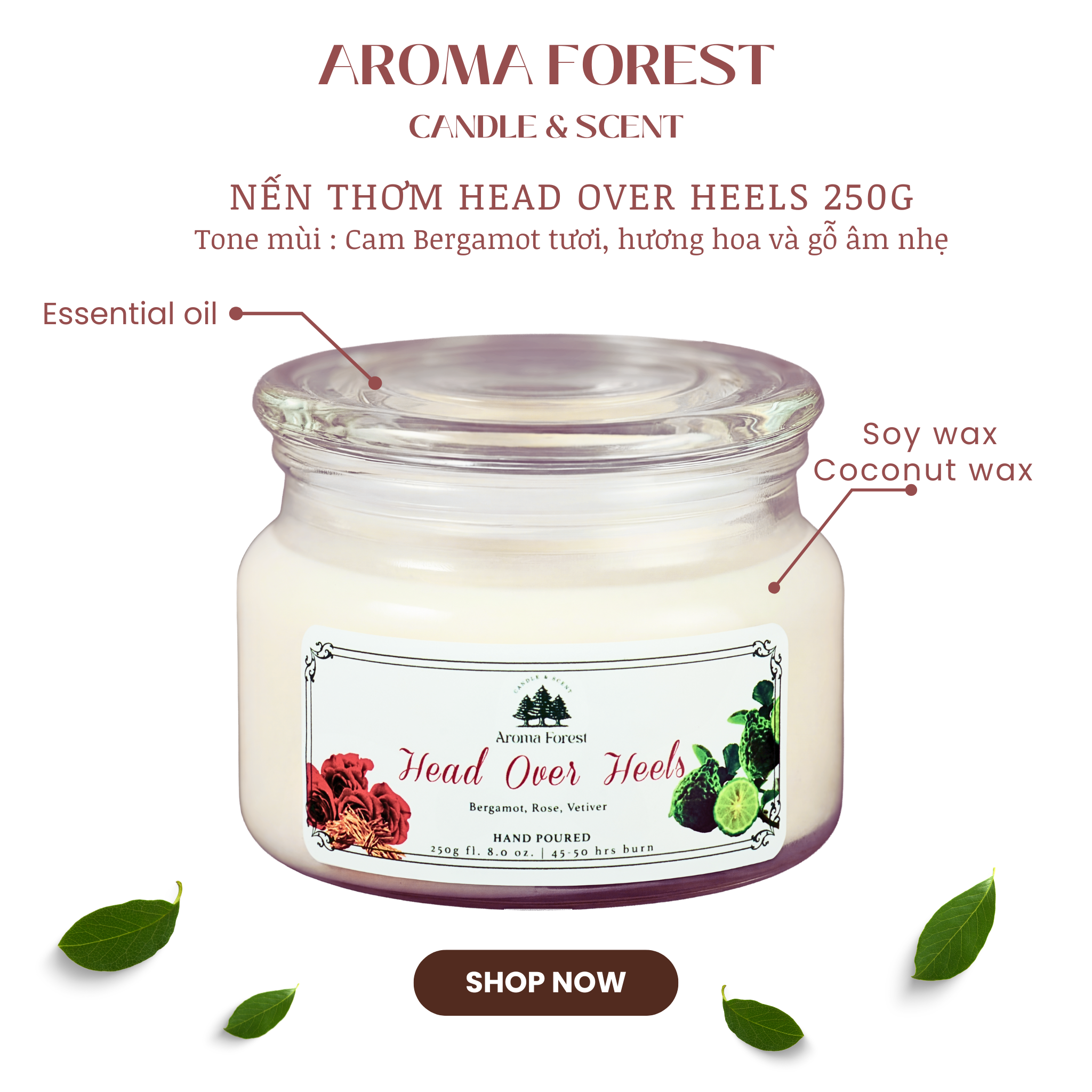 Nến Thơm Cao Cấp Aroma Forest 250g- Hương cam bergamot Headoverheels