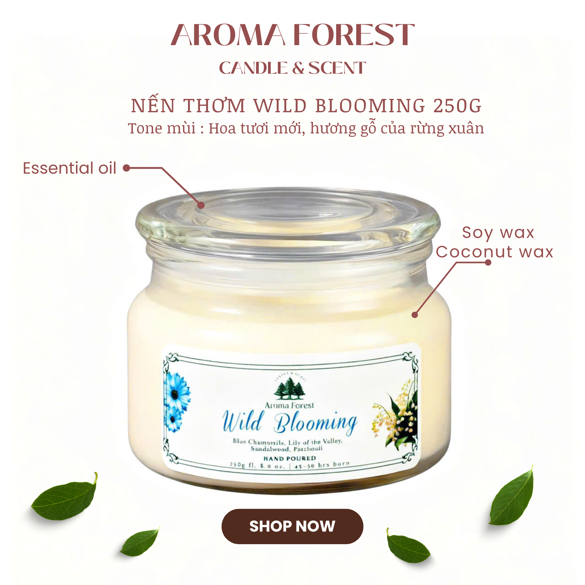 Nến Thơm Cao Cấp Aroma Forest 250g - Hương hoa tươi mới Wild Blooming.