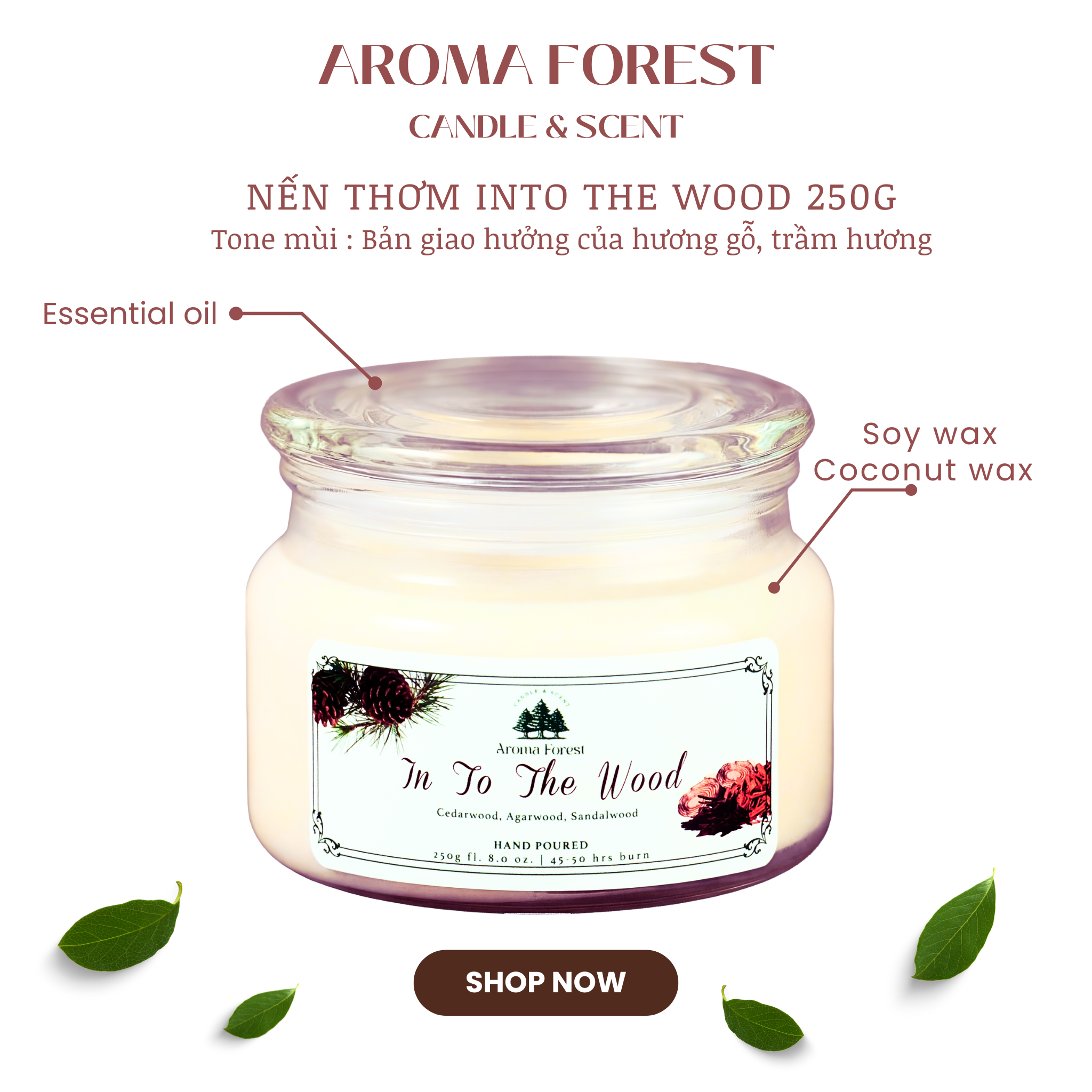 Nến Thơm Cao Cấp Aroma Forest 250g- Hương gỗ into the wood