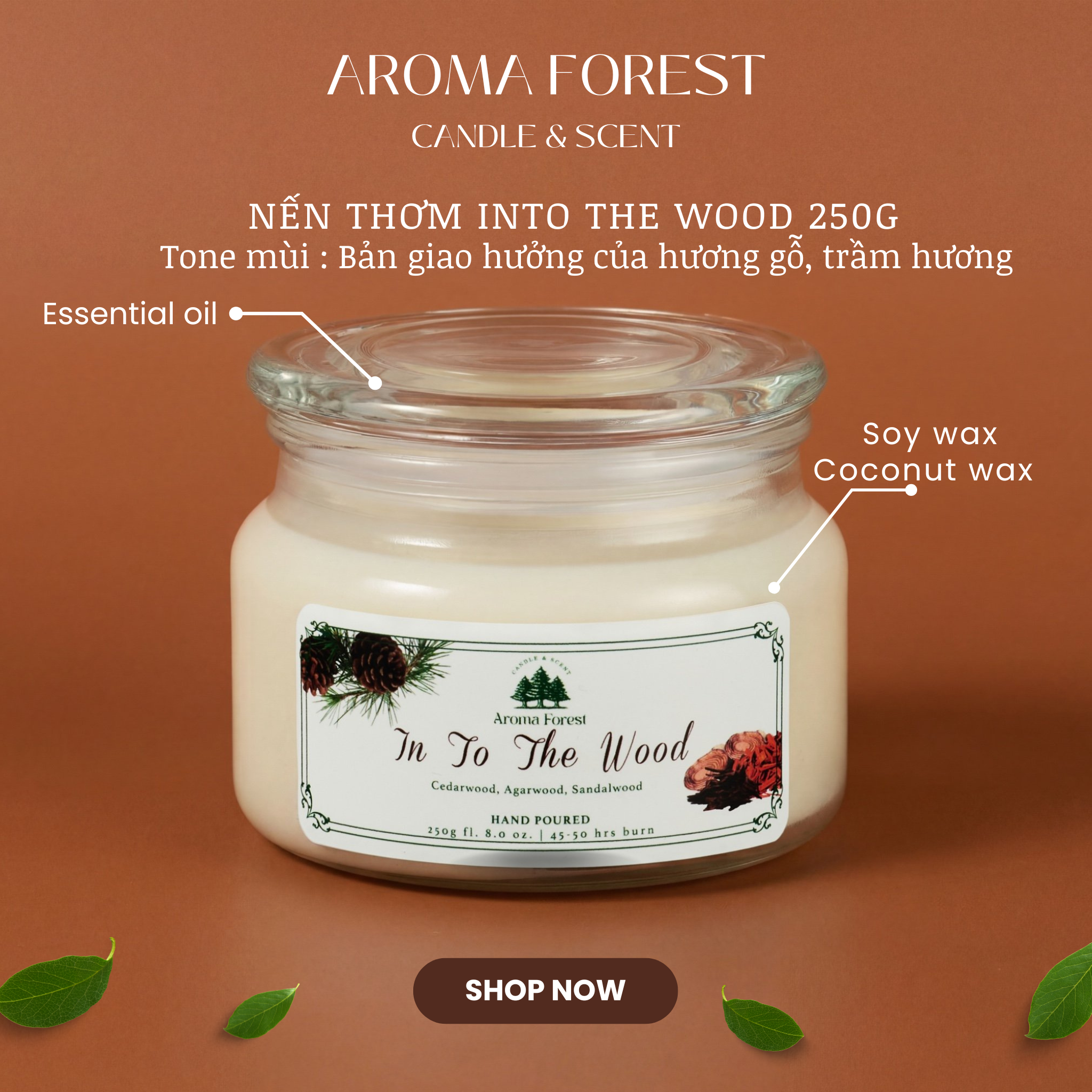 Nến Thơm Cao Cấp Aroma Forest 250g- Hương lá phong Sweet Fall