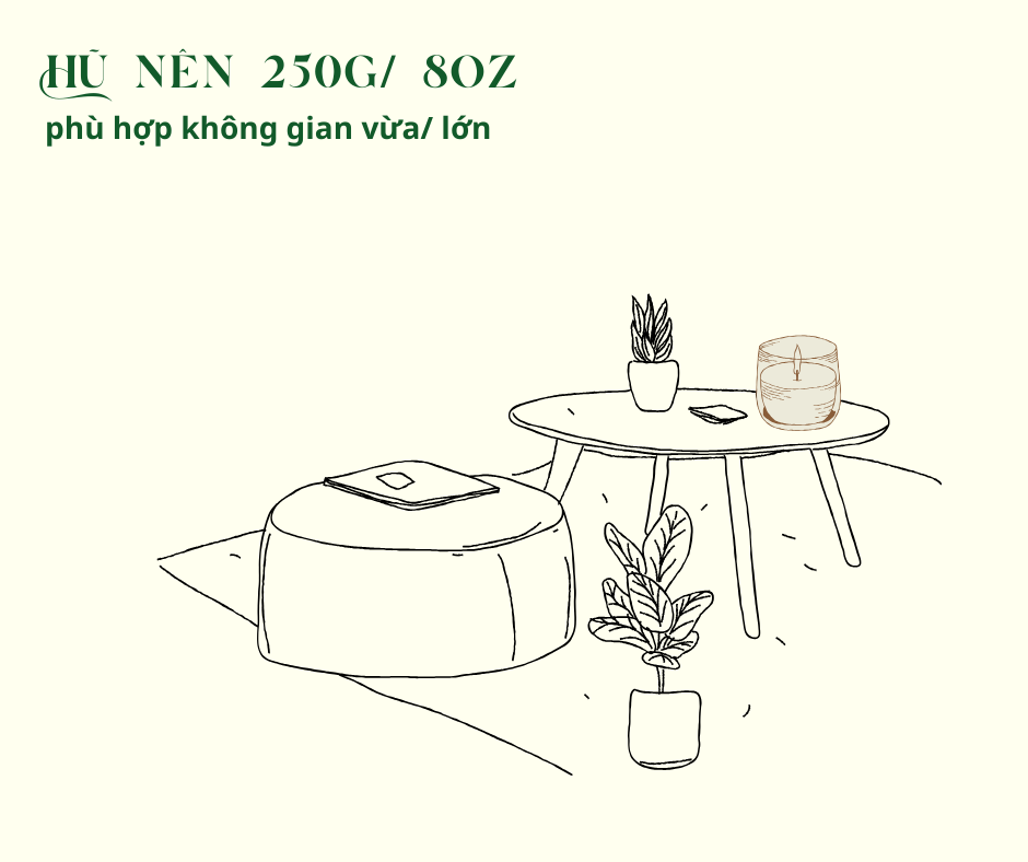 Nến Thơm Cao Cấp Aroma Forest 250g- Hương gỗ into the wood