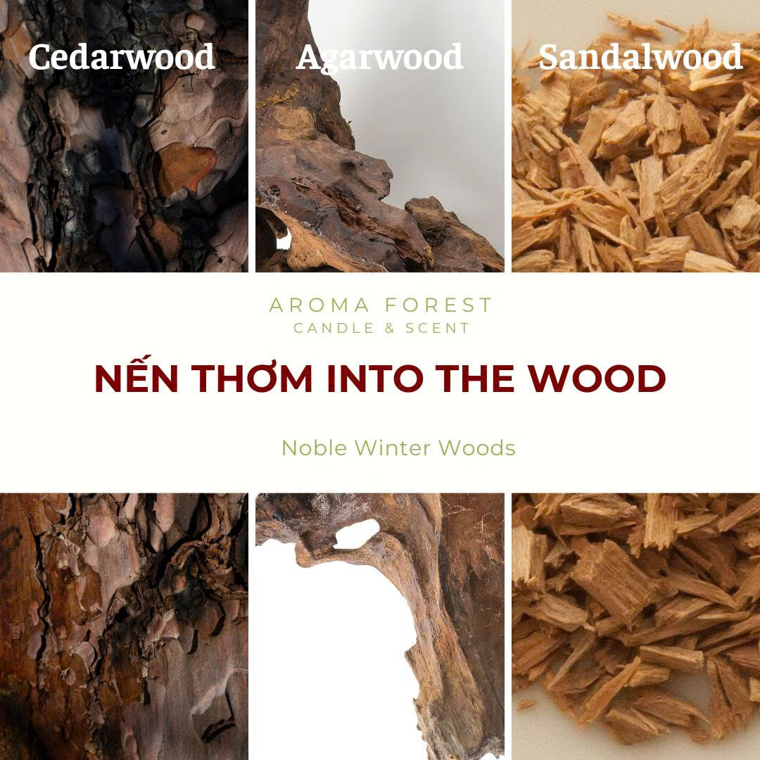 Nến Thơm Cao Cấp Aroma Forest 250g- Hương gỗ into the wood