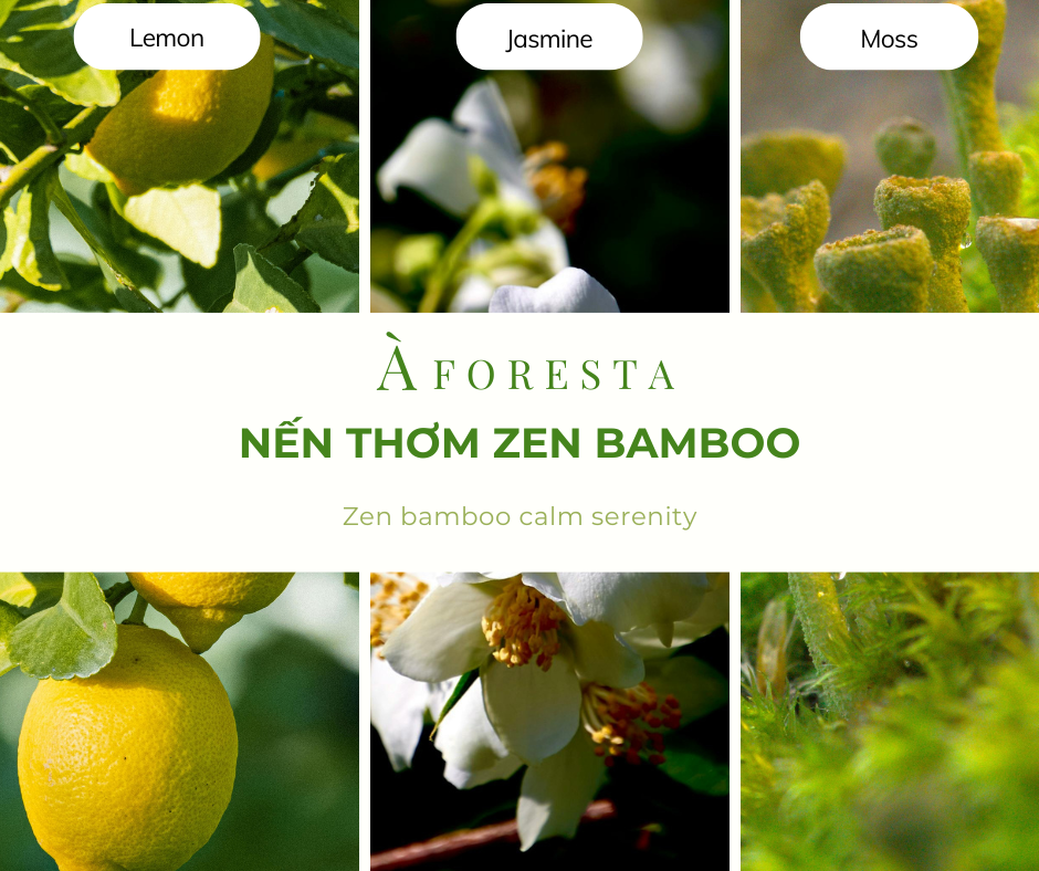 Nến Thơm Cao Cấp À FORESTA mini 50g – Hương Thiền Zen Bamboo-Thơm phòng, thư giãn, quà tặng.