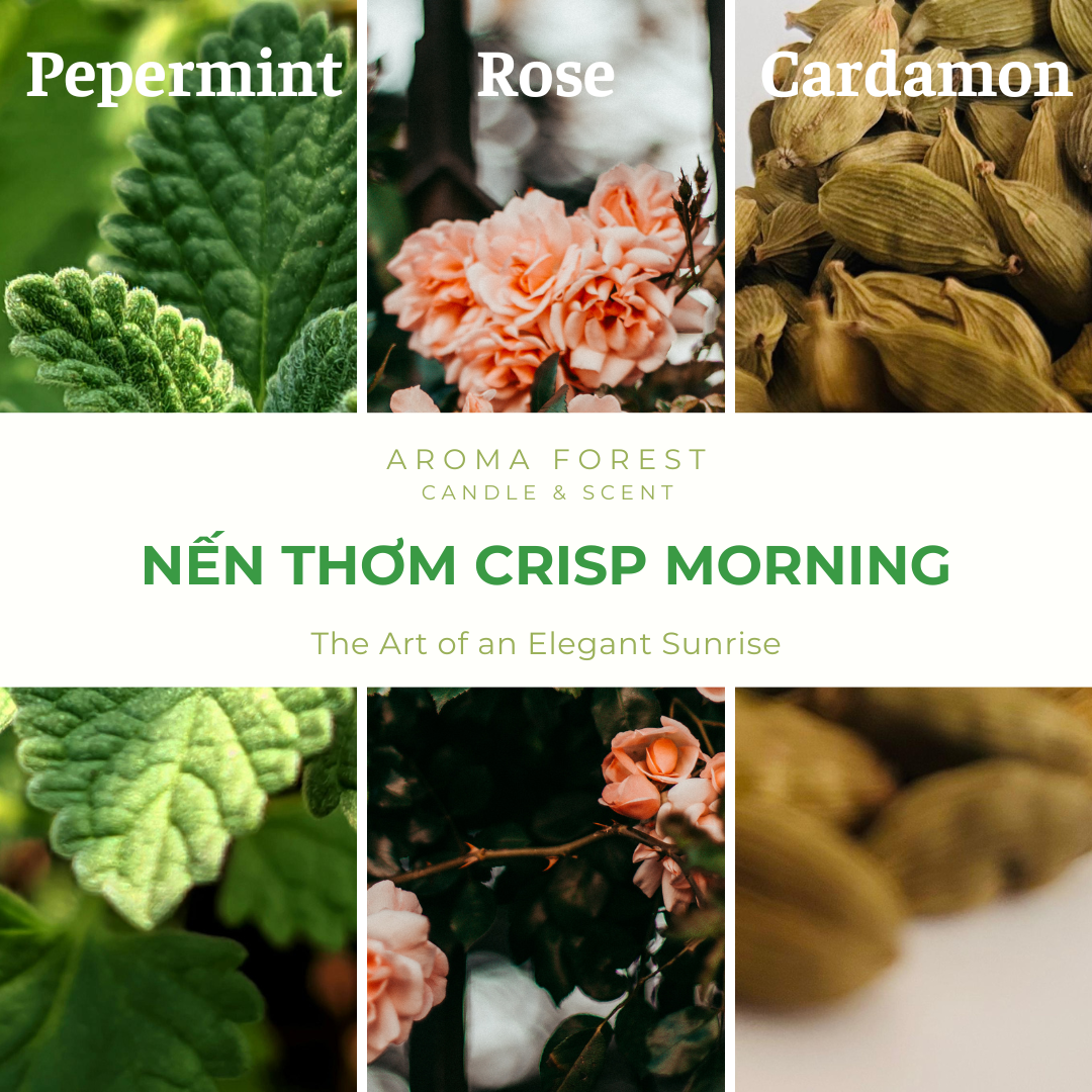 Nến Thơm Cao Cấp Aroma Forest 90g - Hương bạc hà Crisp Morning