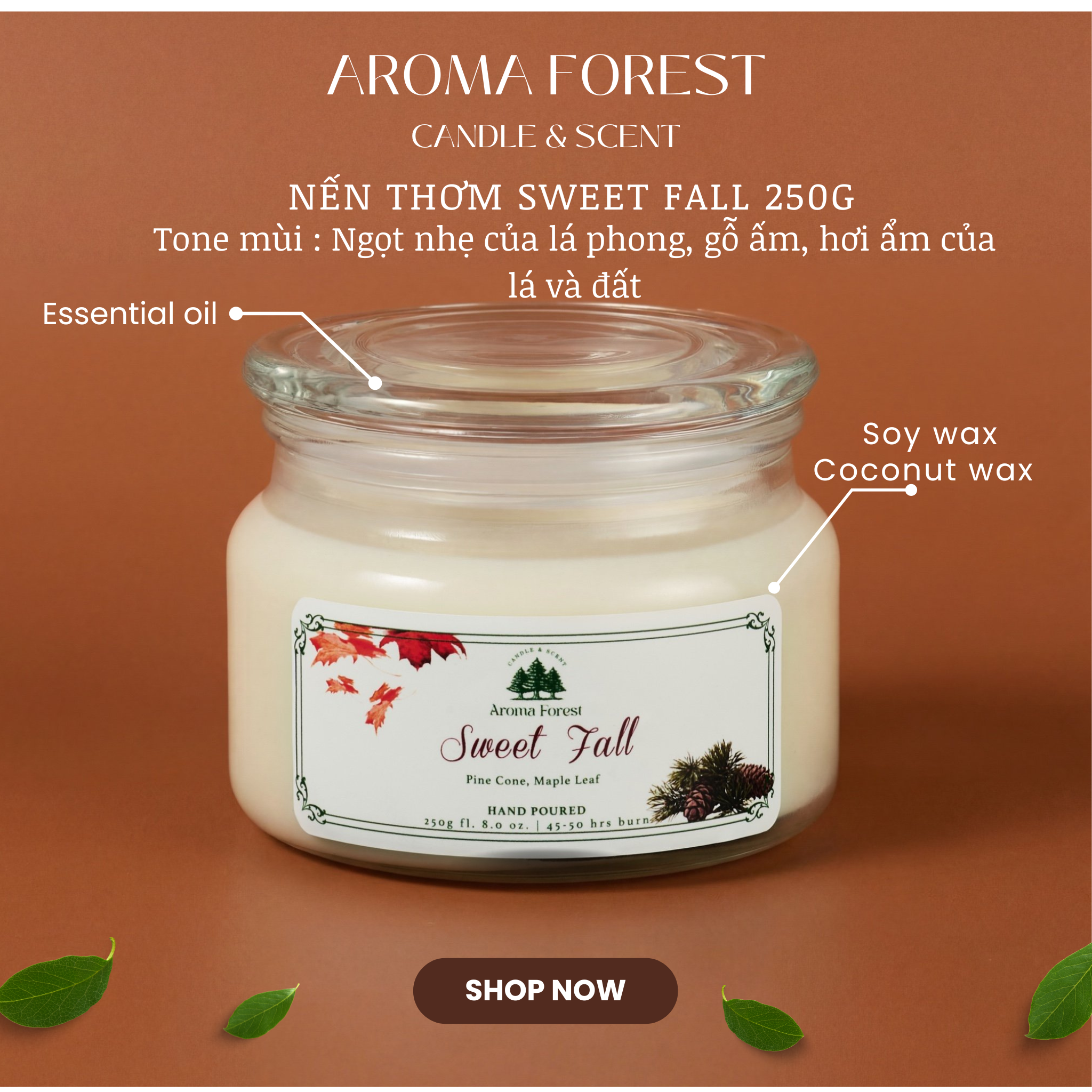 Set Quà tặng 01 nến thơm Aroma Forest 250g nhiều mùi hộp nSet Quà tặng 01 nến thơm Aroma Forest 250g nhiều mùi hộp nắp cài trang trí nơ, quả thôngắp cài trang trí nơ, quả thông