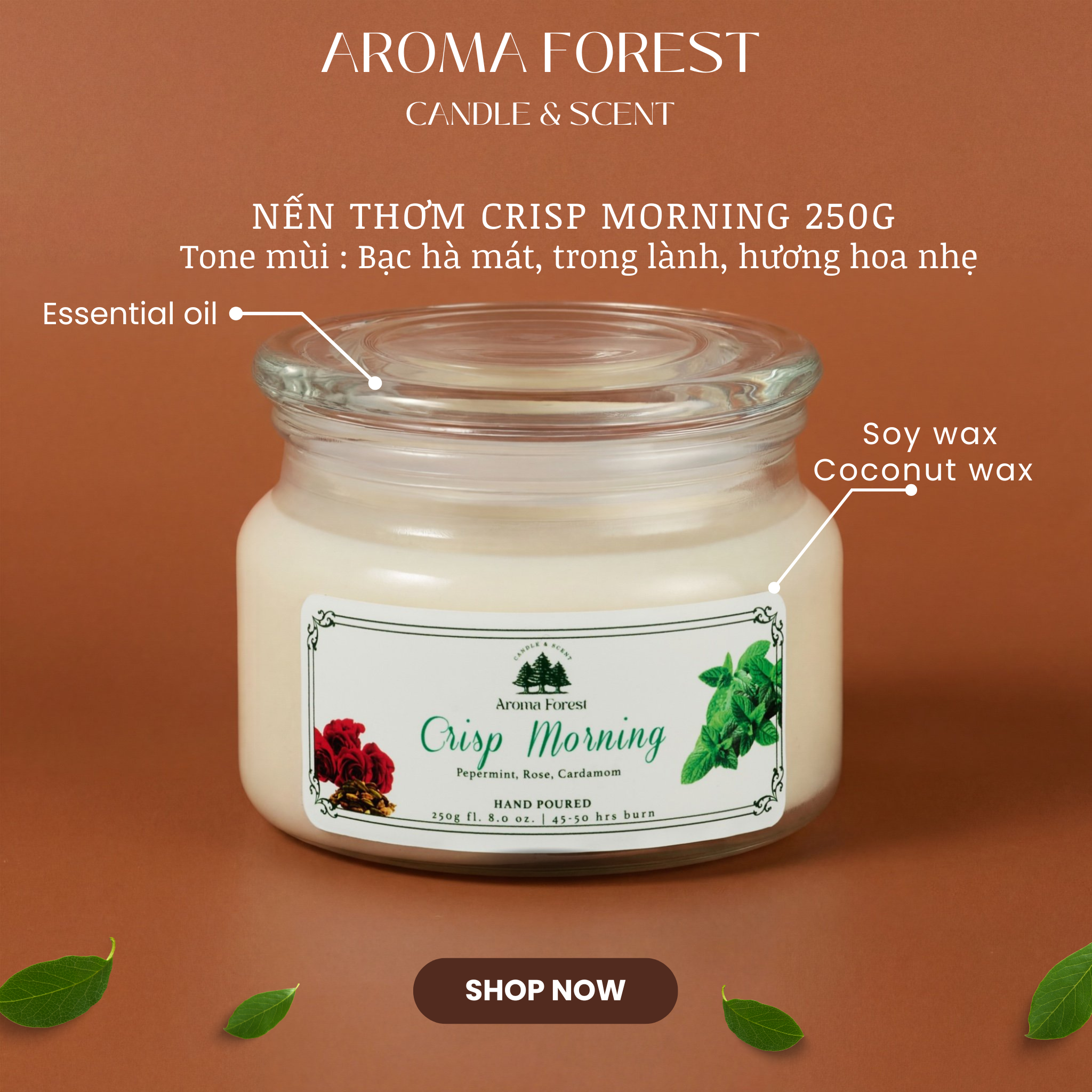 Set Quà tặng 01 nến thơm Aroma Forest 250g nhiều mùi hộp nắp cài nơ, trang trí hoa