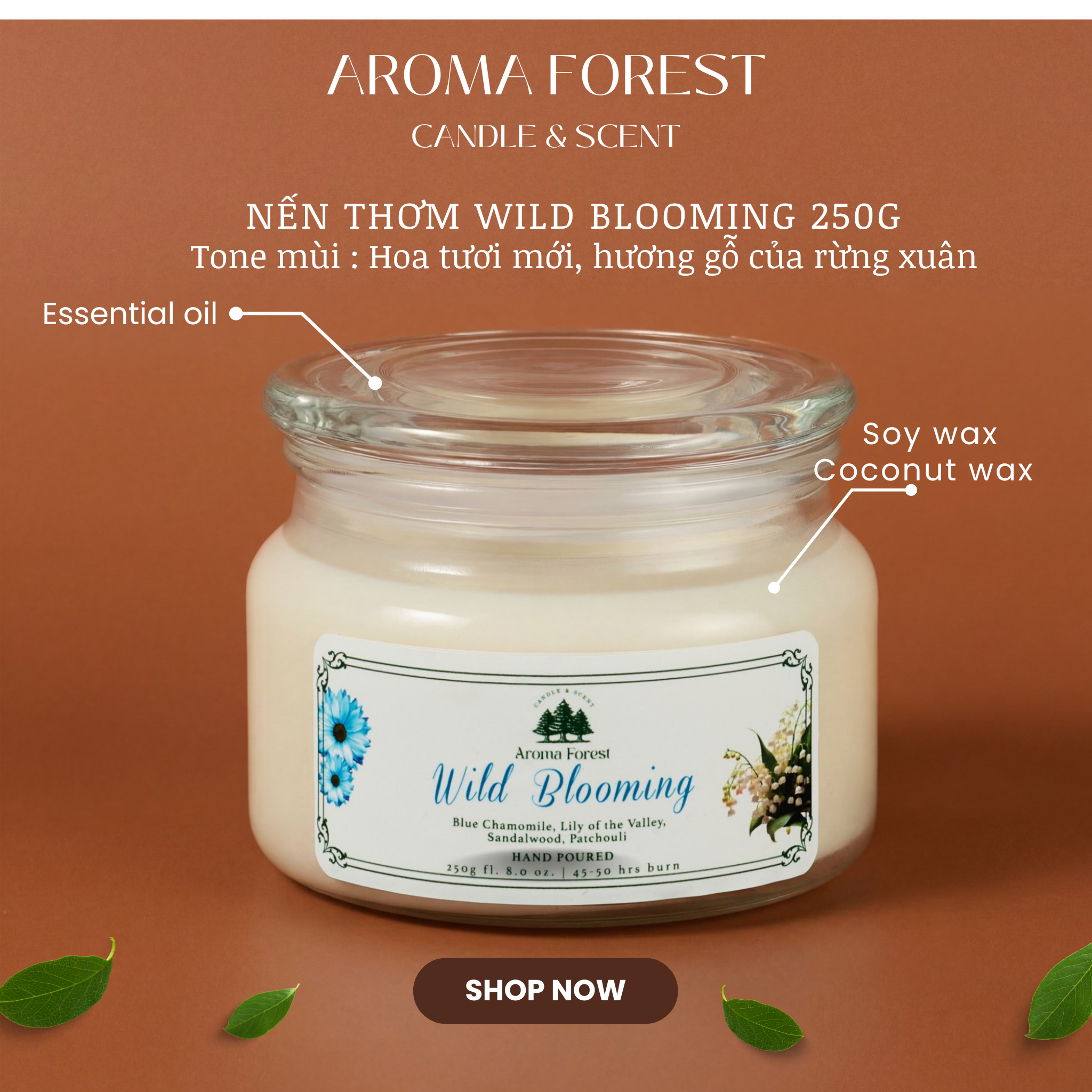 Set Quà tặng 01 nến thơm Aroma Forest 250g nhiều mùi hộp nắp cài nơ, trang trí hoa