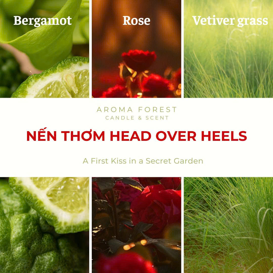 Nến thơm AROMA FOREST Forest Head over heels - Hương cam bergamot tươi, hương hoa và gỗ ấm nhẹ 