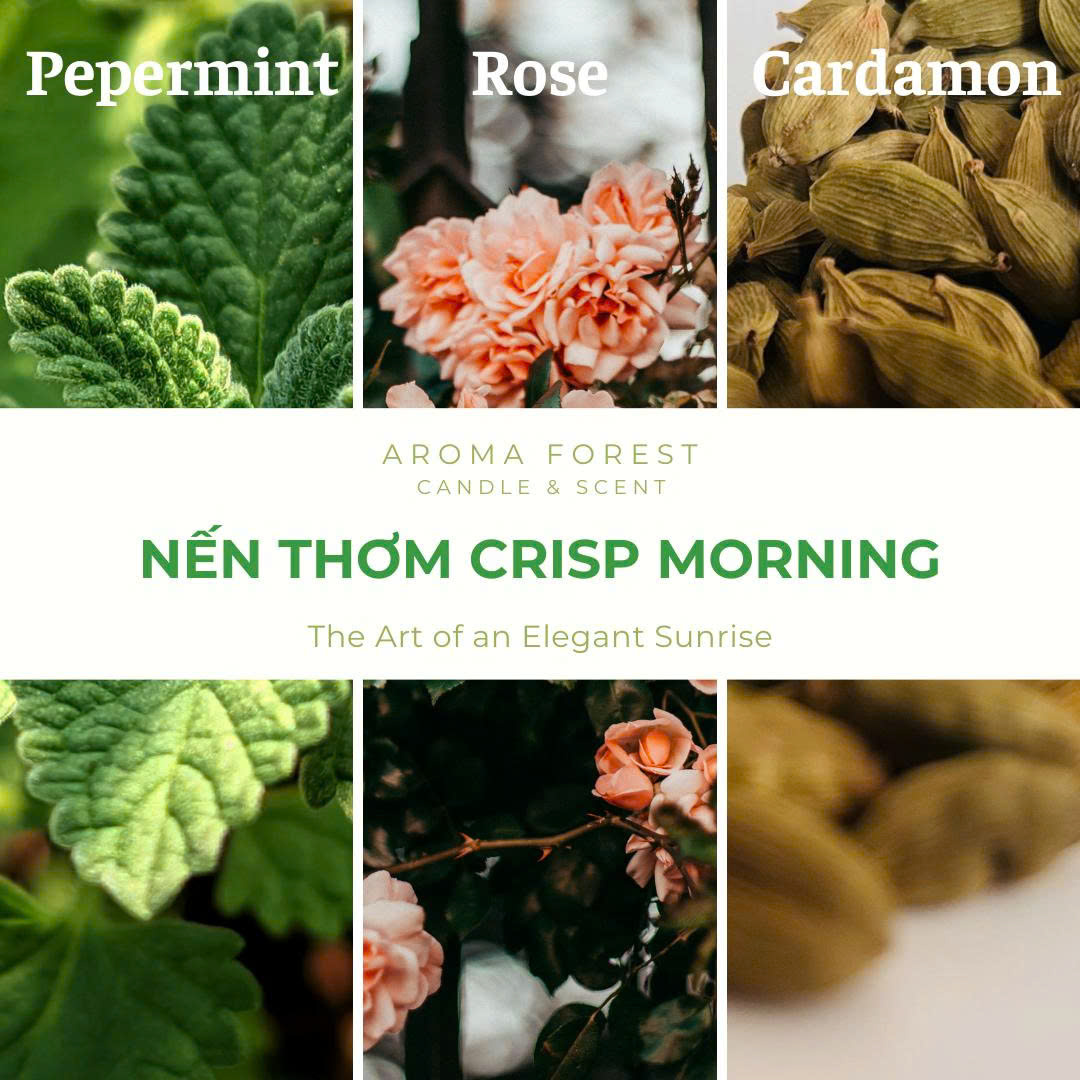 Nến thơm AROMA FOREST Crisp Morning - Hương bạc hà, hoa tươi mát