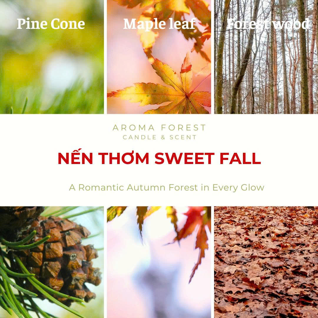 Nến thơm AROMA FOREST Forest Sweet Fall